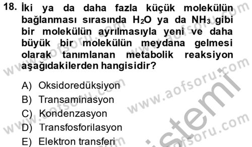 Hücre Kimyası Dersi 2014 - 2015 Yılı (Final) Dönem Sonu Sınav Soruları 18. Soru