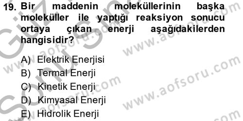 Hücre Kimyası Dersi 2014 - 2015 Yılı (Final) Dönem Sonu Sınav Soruları 19. Soru