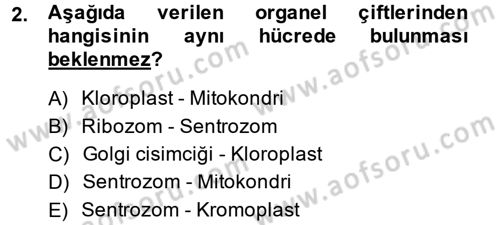 Hücre Kimyası Dersi 2014 - 2015 Yılı (Final) Dönem Sonu Sınav Soruları 2. Soru