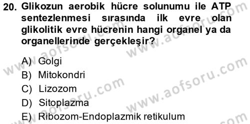 Hücre Kimyası Dersi 2014 - 2015 Yılı (Final) Dönem Sonu Sınav Soruları 20. Soru