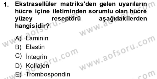 Hücre Kimyası Dersi 2014 - 2015 Yılı Tek Ders Sınav Soruları 1. Soru