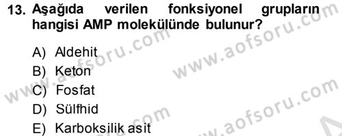 Hücre Kimyası Dersi 2014 - 2015 Yılı Tek Ders Sınav Soruları 13. Soru