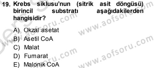 Hücre Kimyası Dersi 2014 - 2015 Yılı Tek Ders Sınav Soruları 19. Soru
