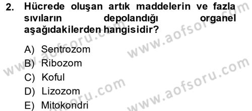 Hücre Kimyası Dersi 2014 - 2015 Yılı Tek Ders Sınav Soruları 2. Soru