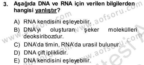 Hücre Kimyası Dersi 2014 - 2015 Yılı Tek Ders Sınav Soruları 3. Soru