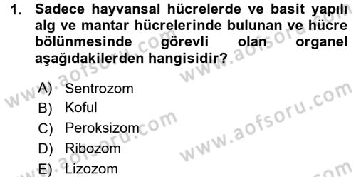 Hücre Kimyası Dersi 2015 - 2016 Yılı (Vize) Ara Sınav Soruları 1. Soru