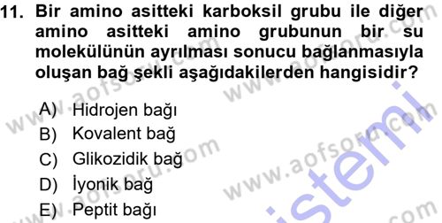 Hücre Kimyası Dersi 2015 - 2016 Yılı (Vize) Ara Sınav Soruları 11. Soru