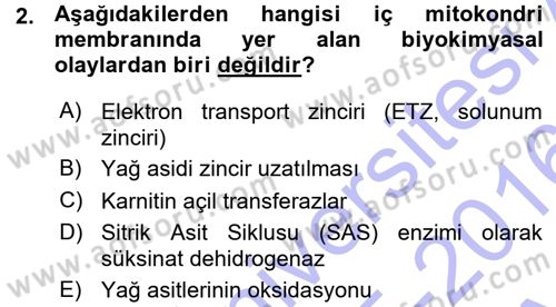 Hücre Kimyası Dersi 2015 - 2016 Yılı (Vize) Ara Sınav Soruları 2. Soru