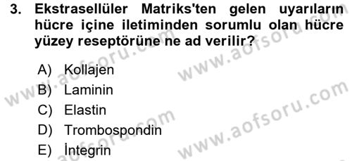 Hücre Kimyası Dersi 2015 - 2016 Yılı (Vize) Ara Sınavı 3. Soru