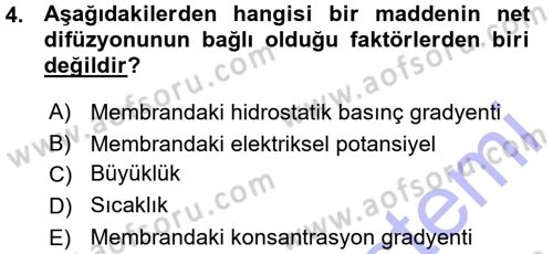 Hücre Kimyası Dersi 2015 - 2016 Yılı (Vize) Ara Sınav Soruları 4. Soru