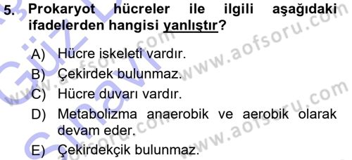 Hücre Kimyası Dersi 2015 - 2016 Yılı (Vize) Ara Sınav Soruları 5. Soru