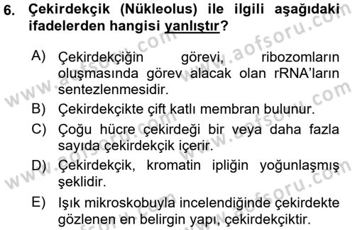 Hücre Kimyası Dersi 2015 - 2016 Yılı (Vize) Ara Sınav Soruları 6. Soru