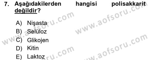 Hücre Kimyası Dersi 2015 - 2016 Yılı (Vize) Ara Sınav Soruları 7. Soru