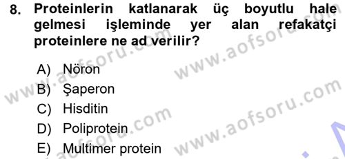 Hücre Kimyası Dersi 2015 - 2016 Yılı (Vize) Ara Sınav Soruları 8. Soru