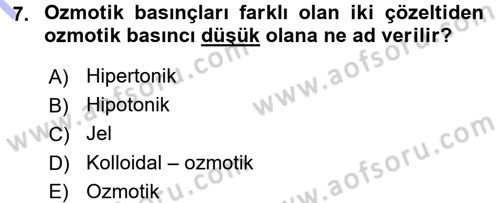 Hücre Kimyası Dersi 2015 - 2016 Yılı (Final) Dönem Sonu Sınav Soruları 7. Soru