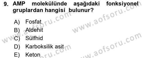Hücre Kimyası Dersi 2015 - 2016 Yılı (Final) Dönem Sonu Sınav Soruları 9. Soru