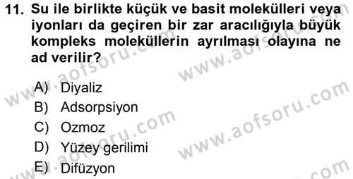 Hücre Kimyası Dersi 2015 - 2016 Yılı Tek Ders Sınav Soruları 11. Soru