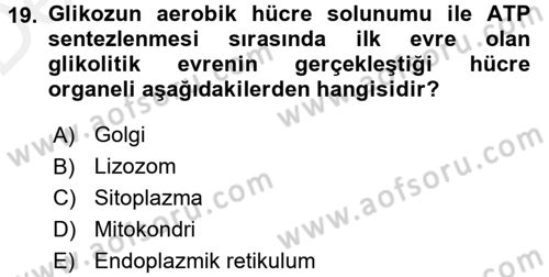 Hücre Kimyası Dersi 2015 - 2016 Yılı Tek Ders Sınav Soruları 19. Soru