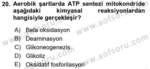 Hücre Kimyası Dersi 2015 - 2016 Yılı Tek Ders Sınav Soruları 20. Soru