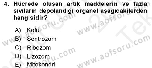 Hücre Kimyası Dersi 2015 - 2016 Yılı Tek Ders Sınav Soruları 4. Soru