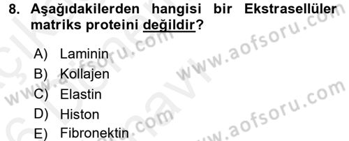 Hücre Kimyası Dersi 2015 - 2016 Yılı Tek Ders Sınav Soruları 8. Soru