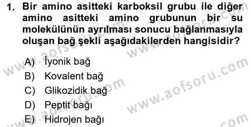 Hücre Kimyası Dersi 2016 - 2017 Yılı 3 Ders Sınav Soruları 1. Soru