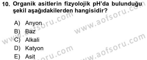 Hücre Kimyası Dersi 2016 - 2017 Yılı 3 Ders Sınav Soruları 10. Soru