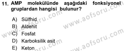 Hücre Kimyası Dersi 2016 - 2017 Yılı 3 Ders Sınav Soruları 11. Soru