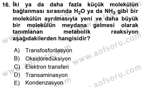 Hücre Kimyası Dersi 2016 - 2017 Yılı 3 Ders Sınav Soruları 16. Soru