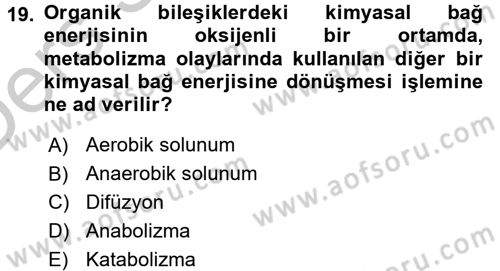Hücre Kimyası Dersi 2016 - 2017 Yılı 3 Ders Sınav Soruları 19. Soru