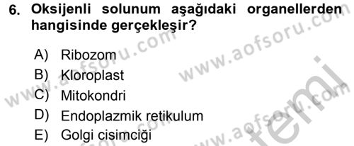 Hücre Kimyası Dersi 2016 - 2017 Yılı 3 Ders Sınav Soruları 6. Soru