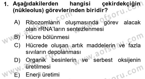 Hücre Kimyası Dersi 2016 - 2017 Yılı (Vize) Ara Sınav Soruları 1. Soru