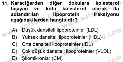 Hücre Kimyası Dersi 2016 - 2017 Yılı (Vize) Ara Sınav Soruları 11. Soru