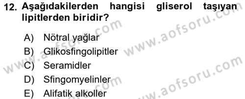 Hücre Kimyası Dersi 2016 - 2017 Yılı (Vize) Ara Sınav Soruları 12. Soru