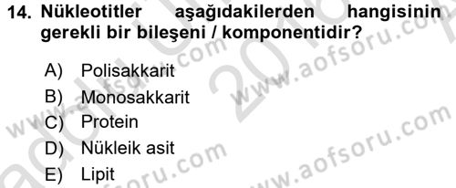 Hücre Kimyası Dersi 2016 - 2017 Yılı (Vize) Ara Sınav Soruları 14. Soru