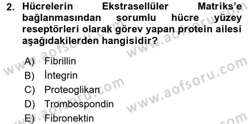 Hücre Kimyası Dersi 2016 - 2017 Yılı (Vize) Ara Sınav Soruları 2. Soru
