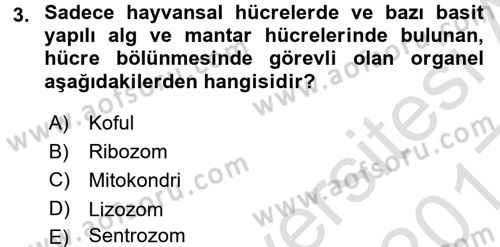 Hücre Kimyası Dersi 2016 - 2017 Yılı (Vize) Ara Sınav Soruları 3. Soru