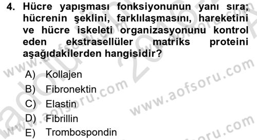 Hücre Kimyası Dersi 2016 - 2017 Yılı (Vize) Ara Sınav Soruları 4. Soru