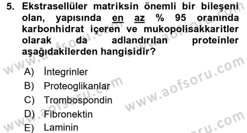 Hücre Kimyası Dersi 2016 - 2017 Yılı (Vize) Ara Sınav Soruları 5. Soru