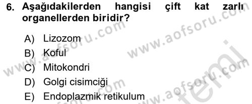 Hücre Kimyası Dersi 2016 - 2017 Yılı (Vize) Ara Sınav Soruları 6. Soru