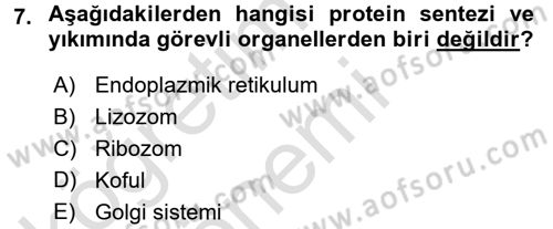 Hücre Kimyası Dersi 2016 - 2017 Yılı (Vize) Ara Sınav Soruları 7. Soru