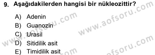 Hücre Kimyası Dersi 2016 - 2017 Yılı (Vize) Ara Sınav Soruları 9. Soru