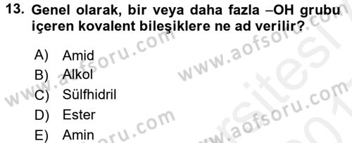 Hücre Kimyası Dersi 2016 - 2017 Yılı (Final) Dönem Sonu Sınav Soruları 13. Soru