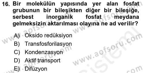 Hücre Kimyası Dersi 2016 - 2017 Yılı (Final) Dönem Sonu Sınav Soruları 16. Soru