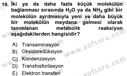 Hücre Kimyası Dersi 2016 - 2017 Yılı (Final) Dönem Sonu Sınav Soruları 19. Soru