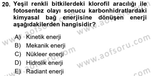 Hücre Kimyası Dersi 2016 - 2017 Yılı (Final) Dönem Sonu Sınav Soruları 20. Soru