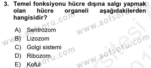 Hücre Kimyası Dersi 2016 - 2017 Yılı (Final) Dönem Sonu Sınav Soruları 3. Soru