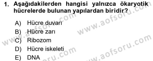Hücre Kimyası Dersi 2017 - 2018 Yılı 3 Ders Sınav Soruları 1. Soru