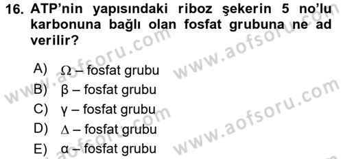 Hücre Kimyası Dersi 2017 - 2018 Yılı 3 Ders Sınavı 16. Soru