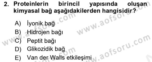 Hücre Kimyası Dersi 2017 - 2018 Yılı 3 Ders Sınav Soruları 2. Soru